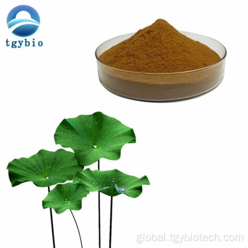 Loss Weight Weight Loss Product Nuciferin Powder Lotus Leaf Extract Supplier